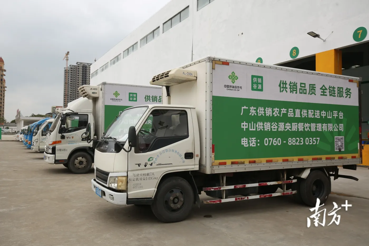 年货礼盒:辞旧迎新中的文化传承与消费升级